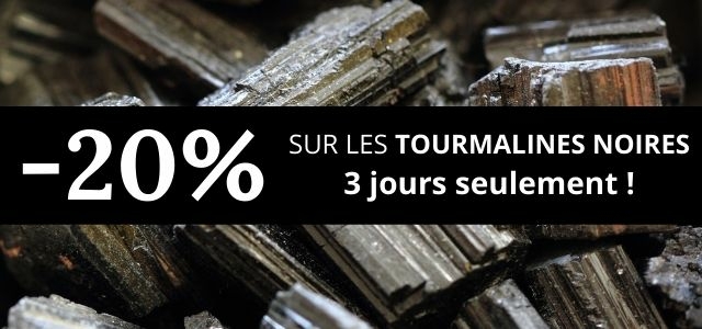Reste 3 jours (21)